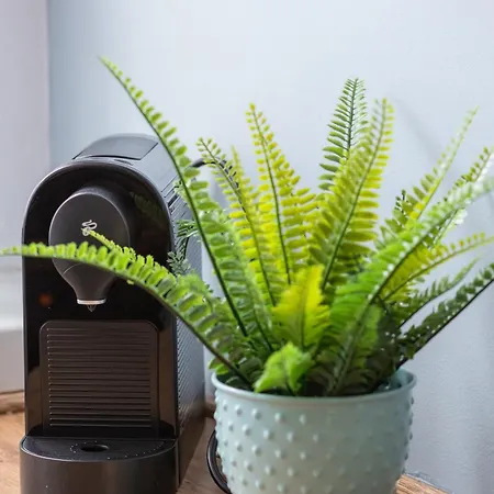 Wilaneska By Bookinghost שצ'צ'ין