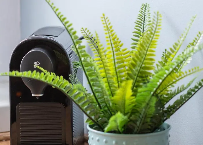 Wilaneska By Bookinghost Szczecin